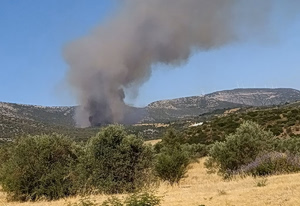 Wildfire Prompts Evacuation Alert in Troizinia as Strong Winds Hamper Firefighting Effort