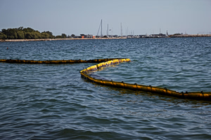 Greek Beaches Set Up Nets to Fight Off Pufferfish