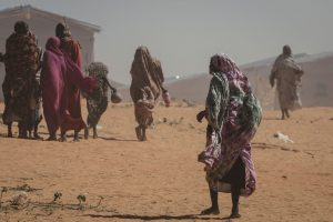 UN Probe Says RSF Committed Genocide in Sudan