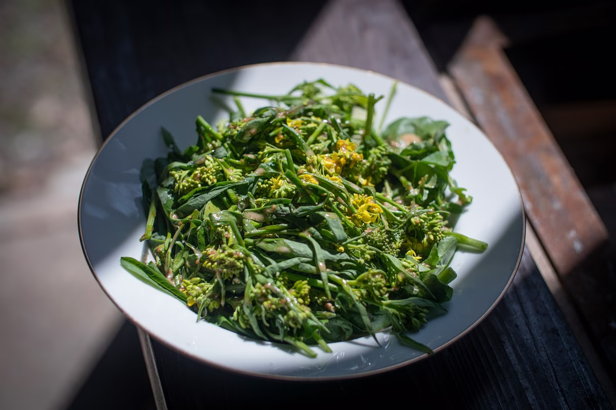 Are Greece’s Wild Greens the “Medicine” We Didn’t Know We Needed?