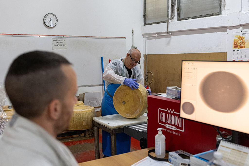 Extreme Heat Puts Italy’s Parmigiano Reggiano at Risk