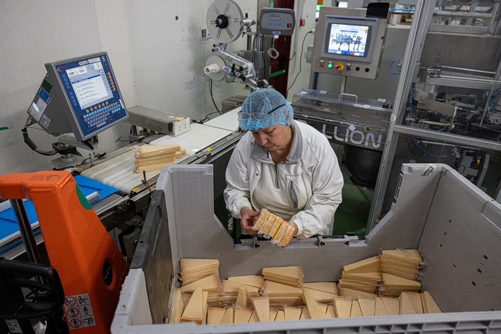 Extreme Heat Puts Italy’s Parmigiano Reggiano at Risk