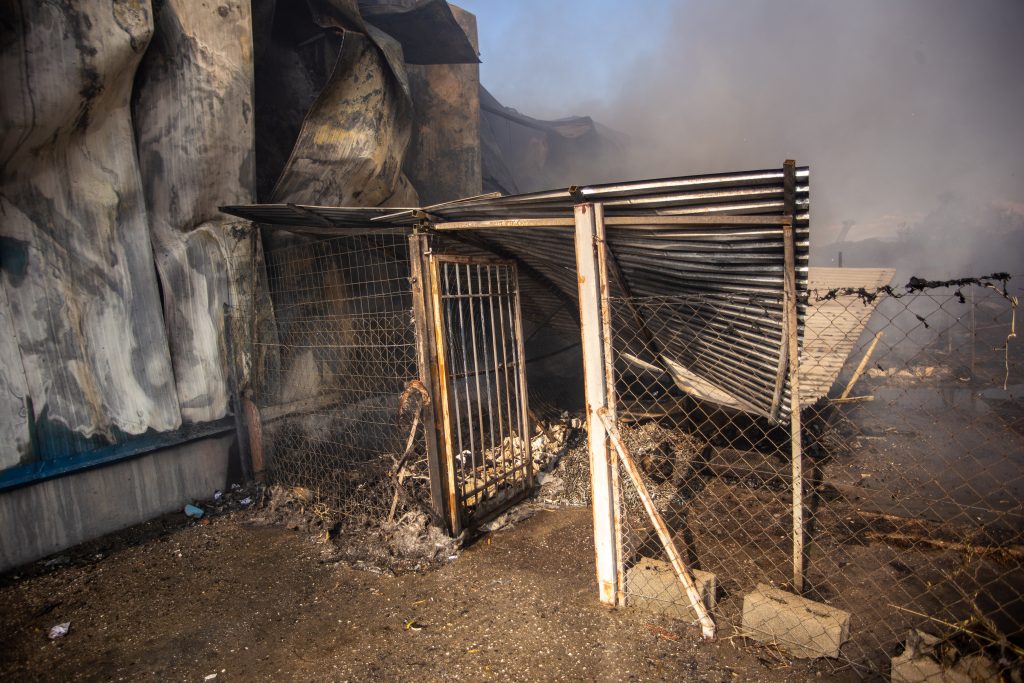 Thessaloniki Man Sentenced Over Fire He Set Chasing Off Wasps