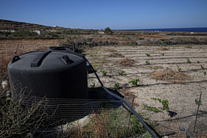 More Greek Regions Face Water Emergency as Drought Worsens