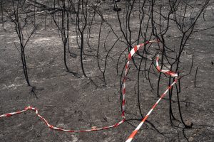 High Wildfire Alert Issued for Athens and Eight Greek Regions