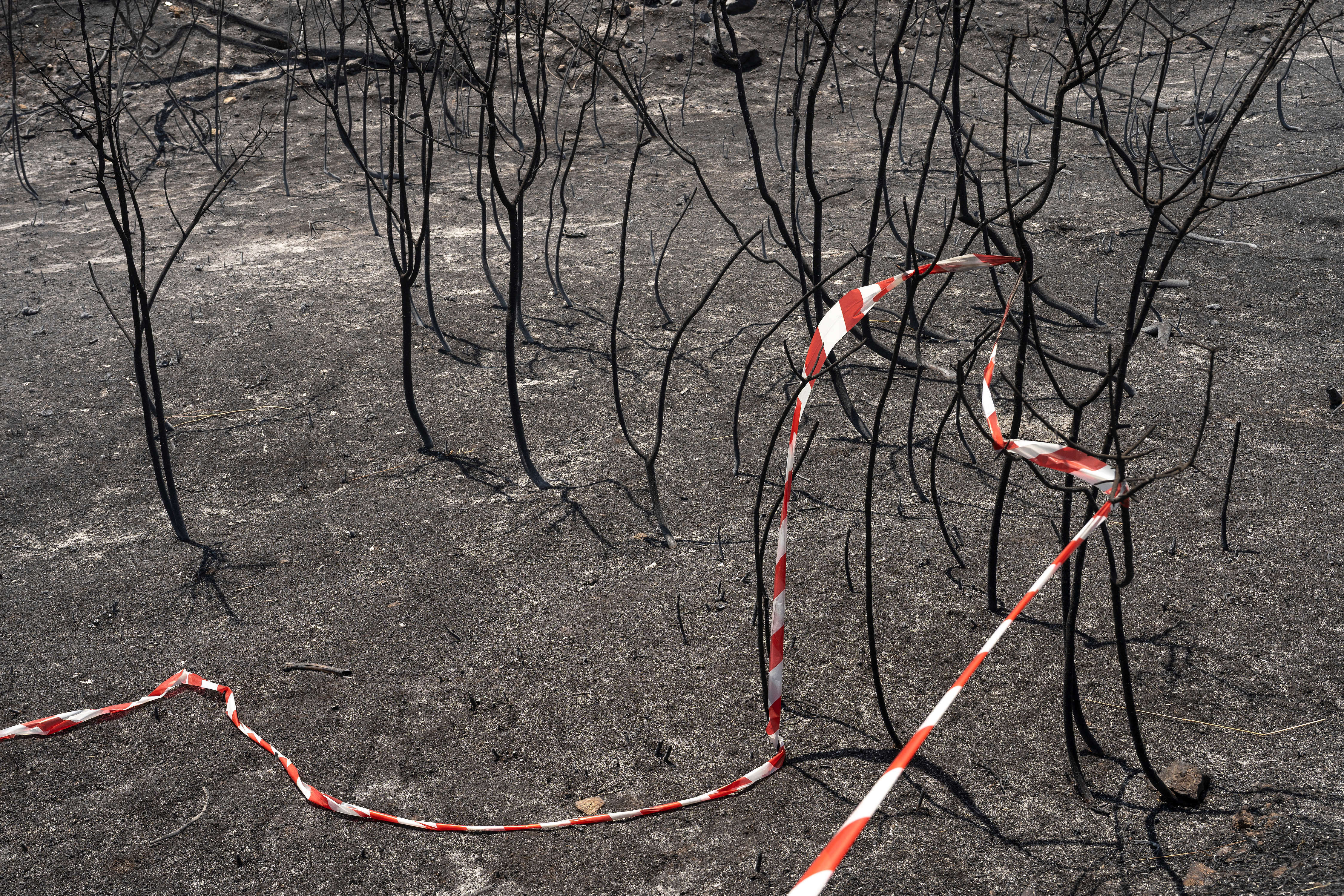 High Wildfire Alert Issued for Athens and Eight Greek Regions