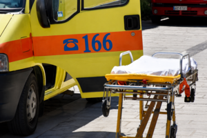 Dog Attack Injures Man, Kills Pet Dog in Athens Suburb