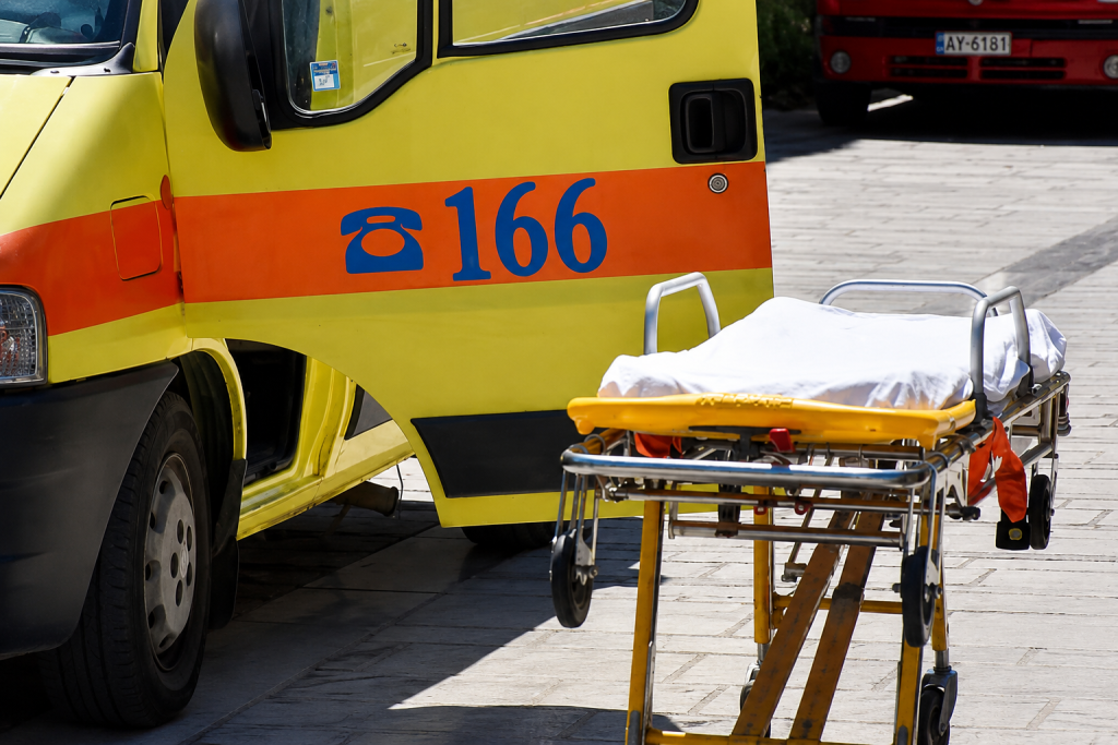 Dog Attack Injures Man, Kills Pet Dog in Athens Suburb