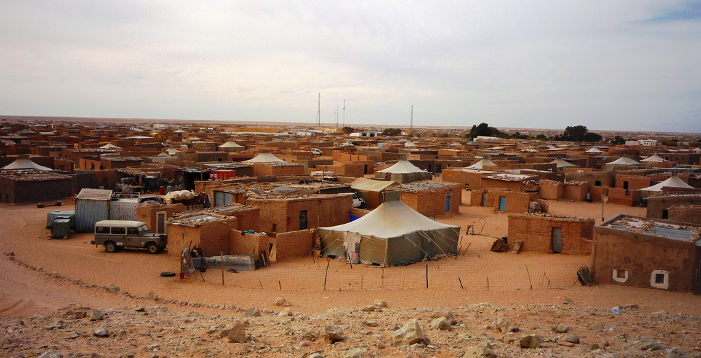 The Odyssey in Western Sahara: Filming in Occupied Territory