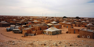 The Odyssey in Western Sahara: Filming in Occupied Territory