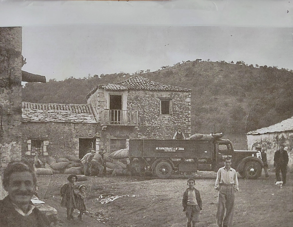 valonia acorns astakos