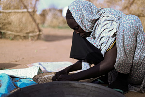 Global Hunger Falls While UN Warns of New Risks