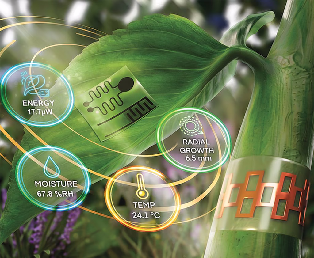 Plant “Tattoos” Measure Crop Stress
