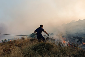 Greece Battles 50 Wildfires in 24 Hours