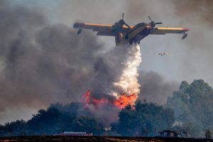 Man Arrested Over Wildfire Near Thessaloniki