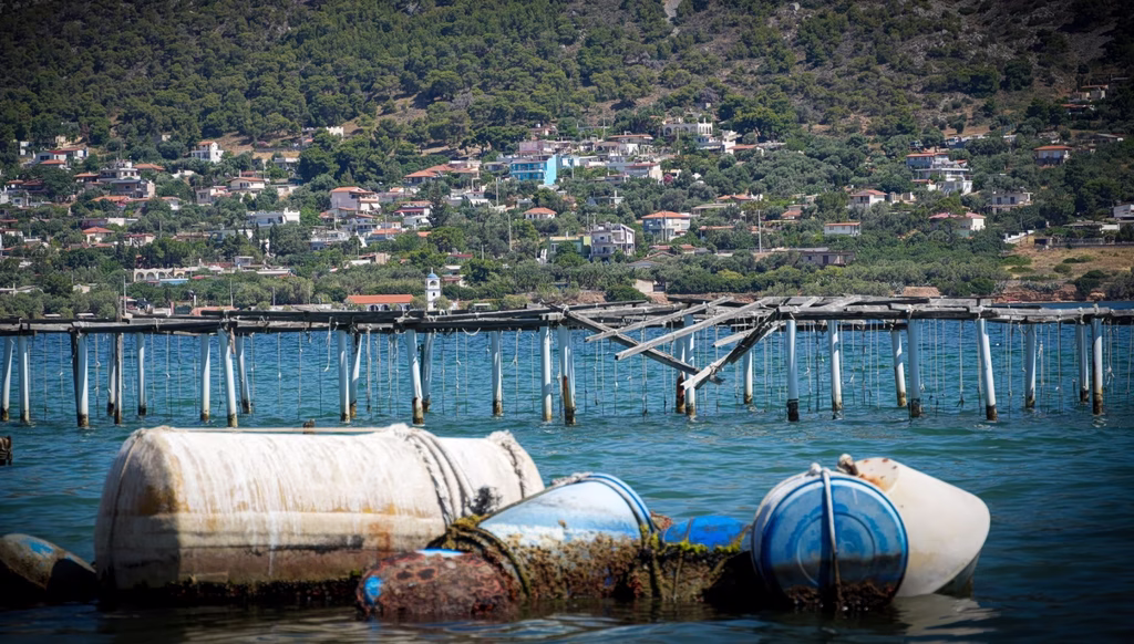 Greece Reconsiders the Rules Governing Fish Farming