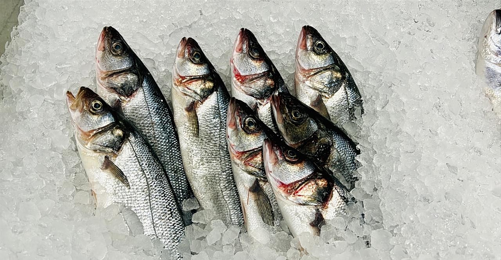 cooke aquaculture