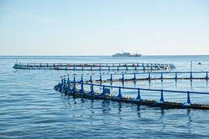 Cooke Pushes Ahead in Consolidation of Greek Aquaculture Sector