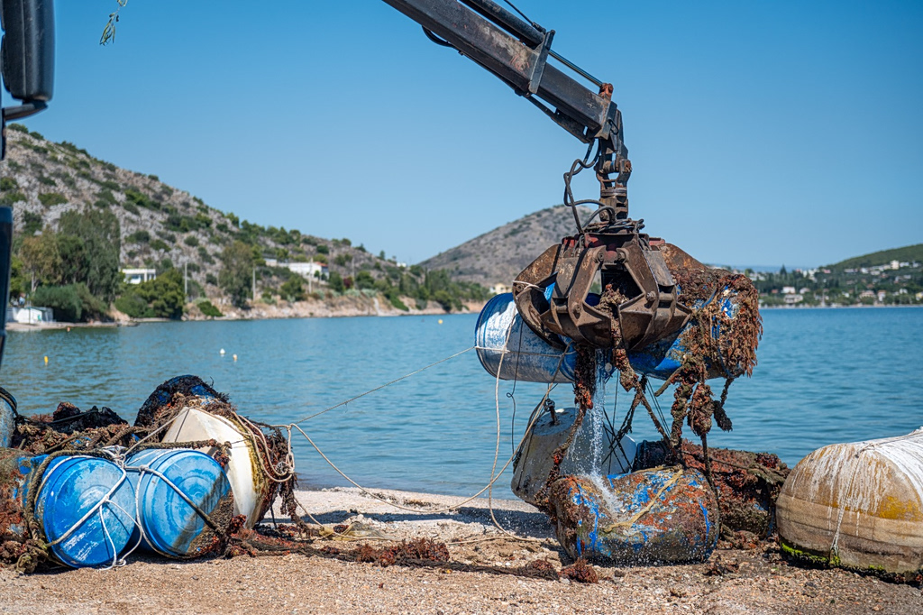 aquaculture healthy seas fish farming