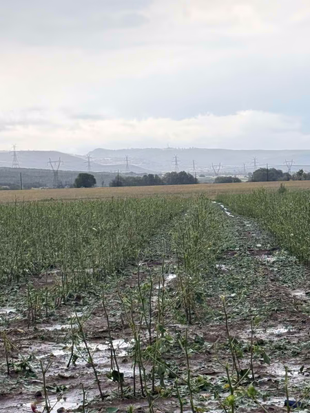 Severe Storms Cause Widespread Damage in Central Greece