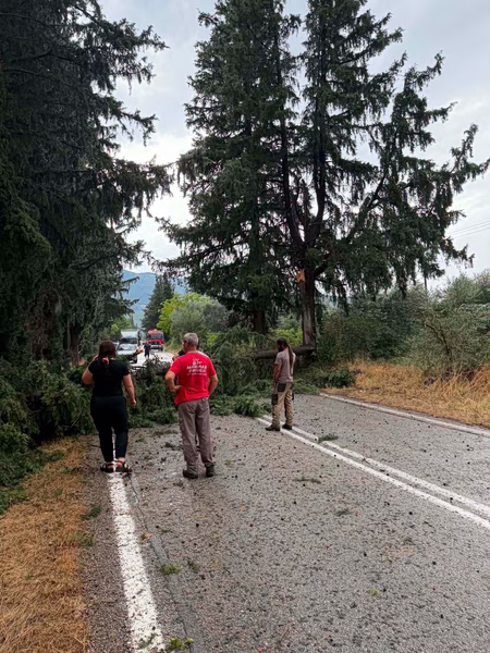 Severe Storms Cause Widespread Damage in Central Greece