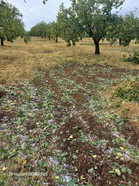 Severe Storms Cause Widespread Damage in Central Greece