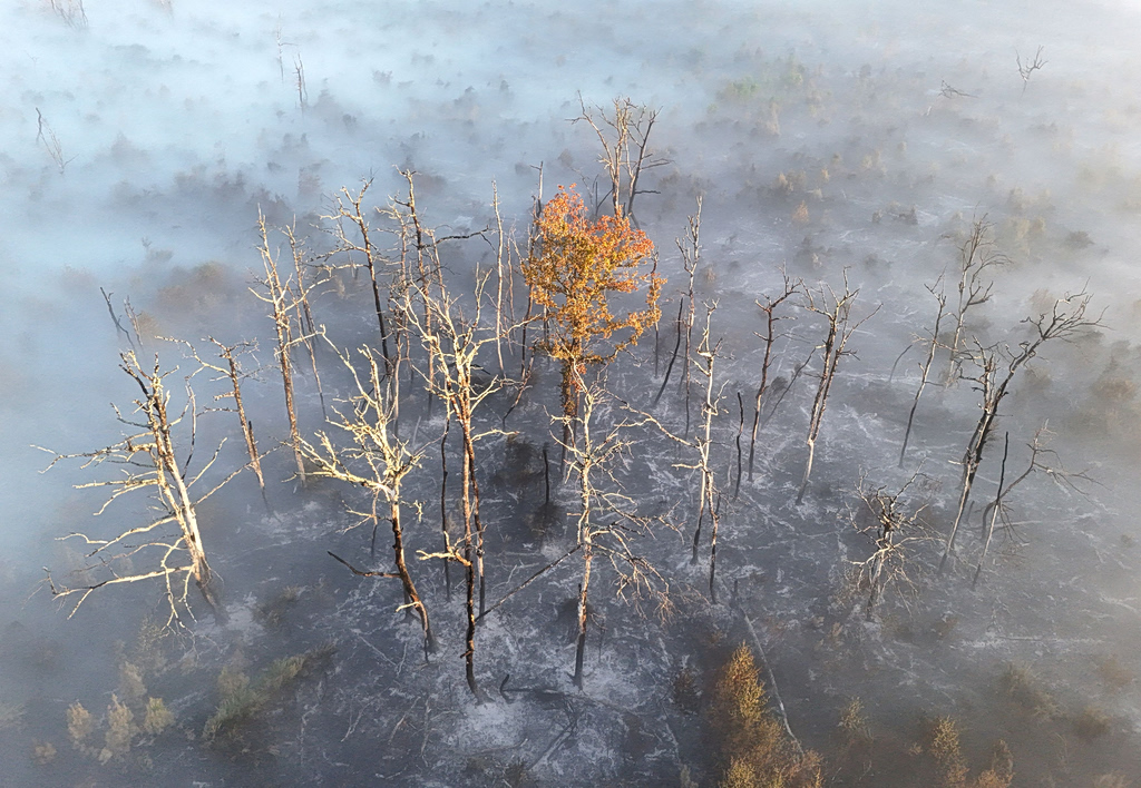 Europe's Wildfires Expose Shortage of Firefighting Aircraft