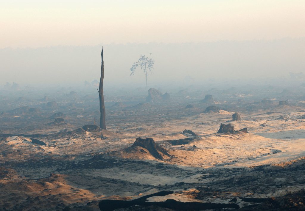 Europe's Wildfires Expose Shortage of Firefighting Aircraft