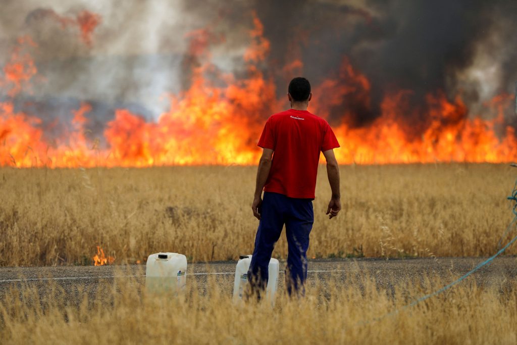 Why Europe’s Wildfires Are So Intense This Year