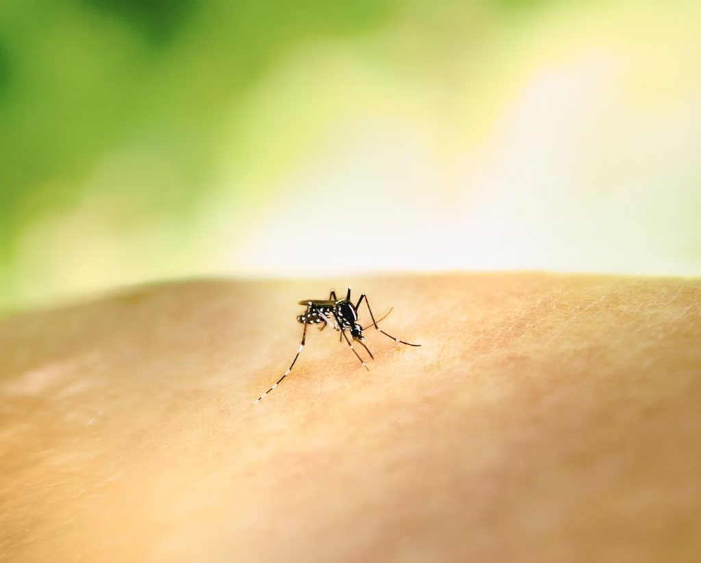 Five More Athens Municipalities Added to West Nile Alert