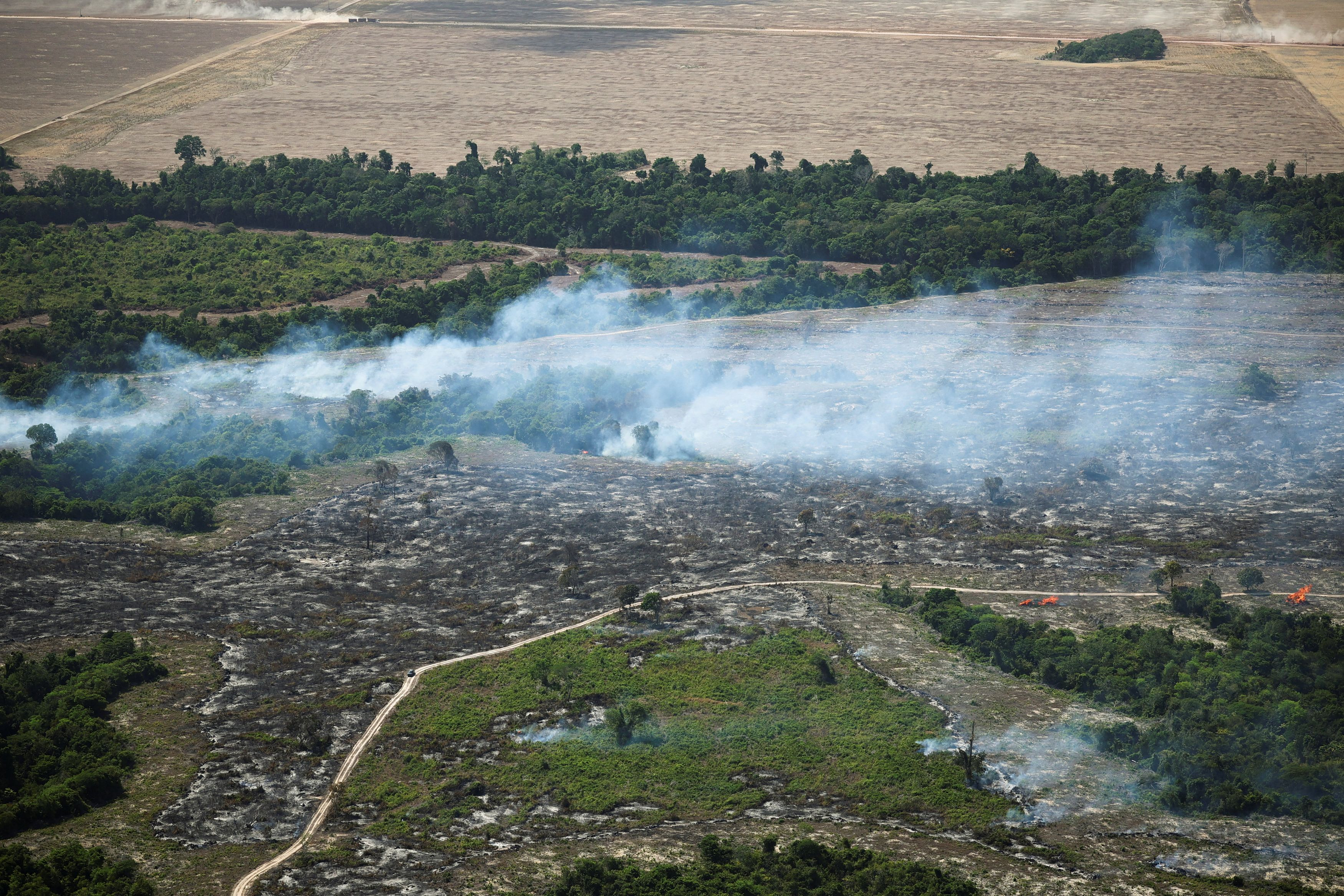 Latin America Braces for Intense El Niño, UN Warns