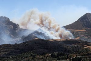 Wildfire Breaks Out Near Athens