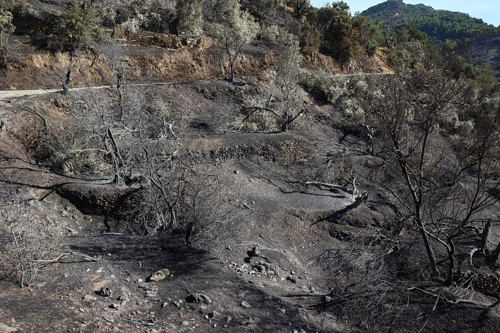 Lesbos Wildfire Burns More Than 148 Acres Near Plomari