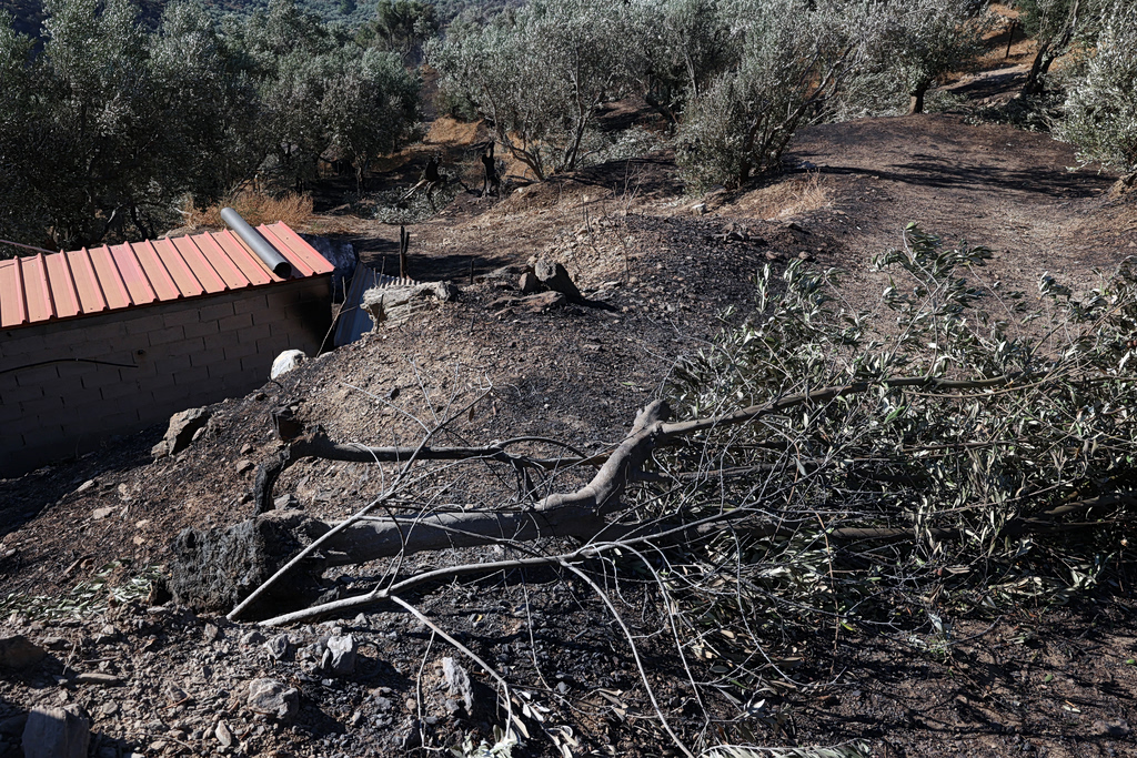 Lesbos Wildfire Burns More Than 148 Acres Near Plomari