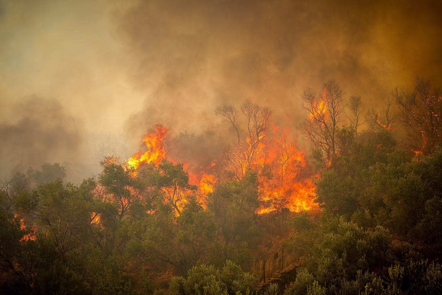 New Wildfires Break Out Overnight; Battle on Crete Intensifies