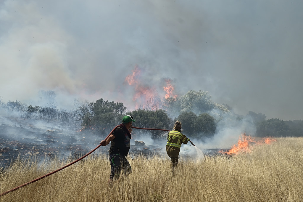 Wildfire in Boeotia Triggers Sea Evacuation Operation