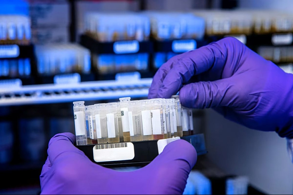 AI Builds DNA-Editing Enzymes That Nature Never Made