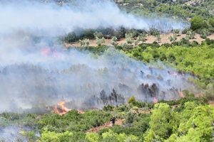 Boeotia Wildfire: ‘They Want To Burn Us Alive’