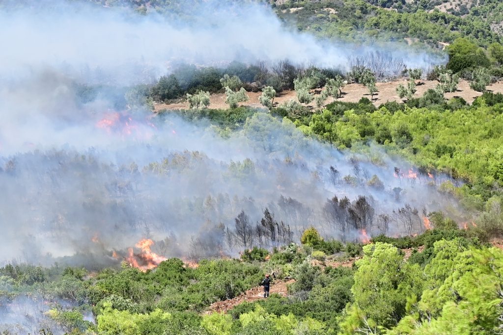 Boeotia Wildfire: ‘They Want To Burn Us Alive’
