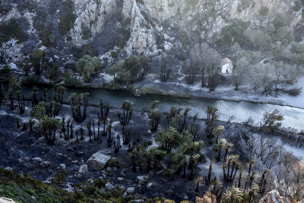 Greece On Fire: First Satellite Estimates Of Burned Land