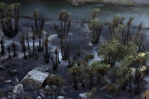 Rethymno: New 112 Alert To Evacuate Drymiskos