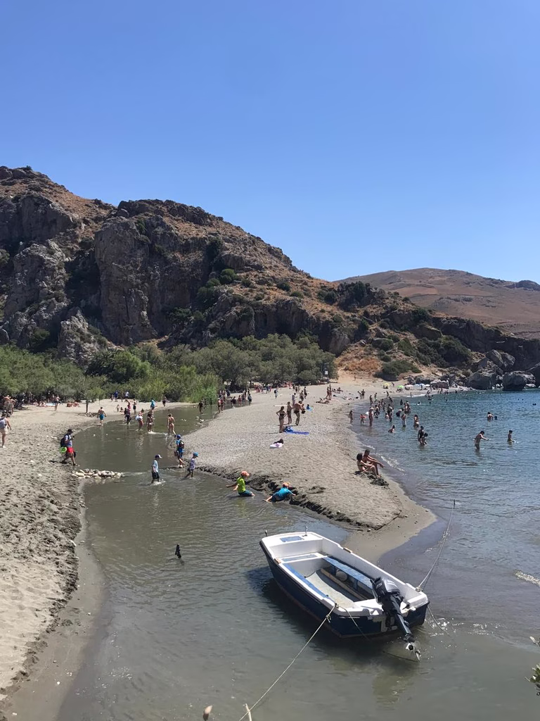 Wildfire Transforms Crete's Iconic Preveli Palm Forest