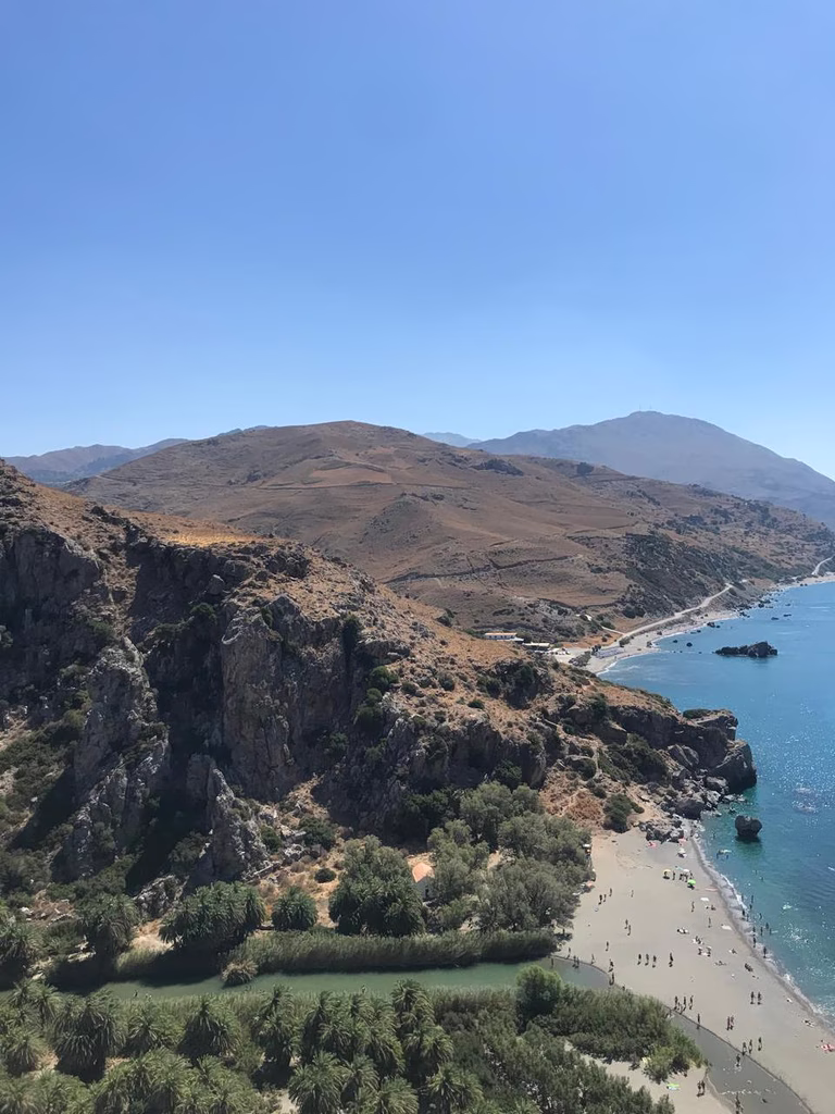Wildfire Transforms Crete's Iconic Preveli Palm Forest