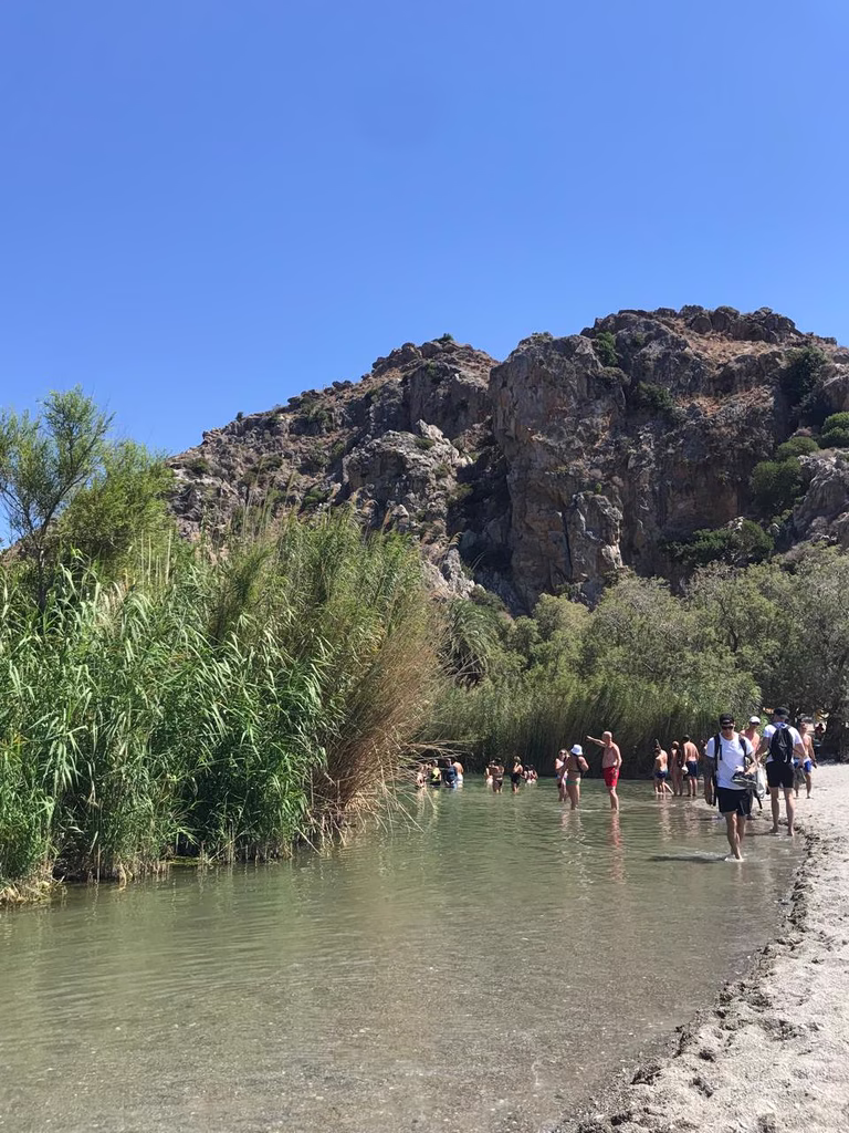 Wildfire Transforms Crete's Iconic Preveli Palm Forest