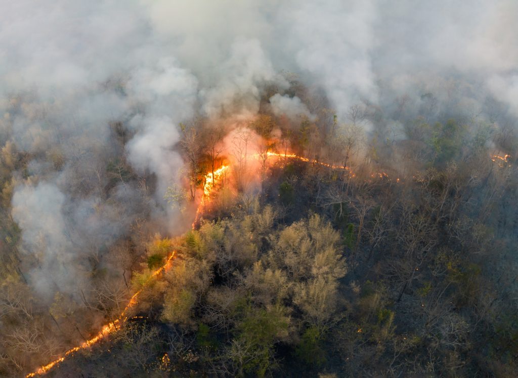 Fire Service Update: 73 Wildfires Burning Nationwide