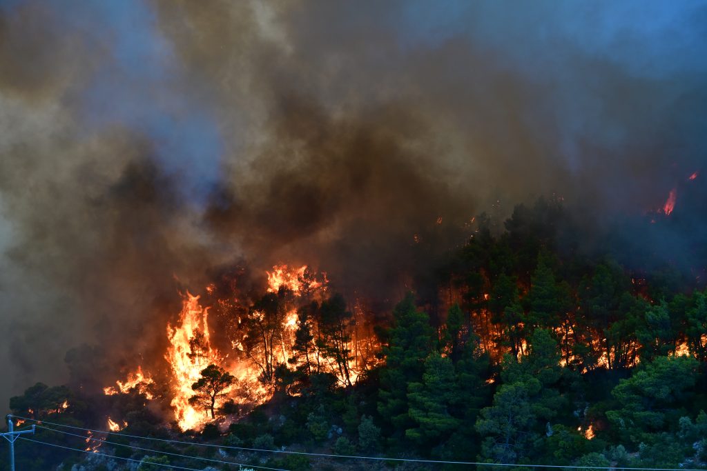 Porto Germeno Wildfire Among Greece's Toughest