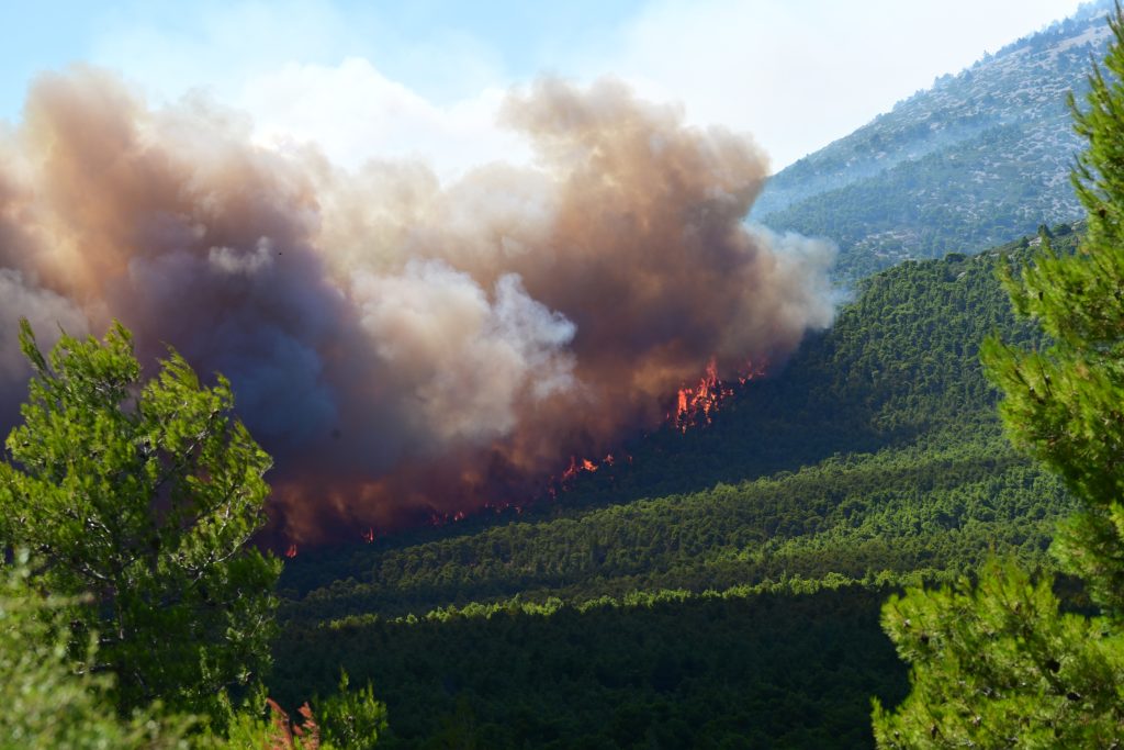 Porto Germeno Wildfire Among Greece's Toughest
