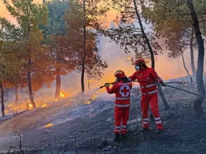Greek Red Cross Appeals for Wildfire Relief Donations