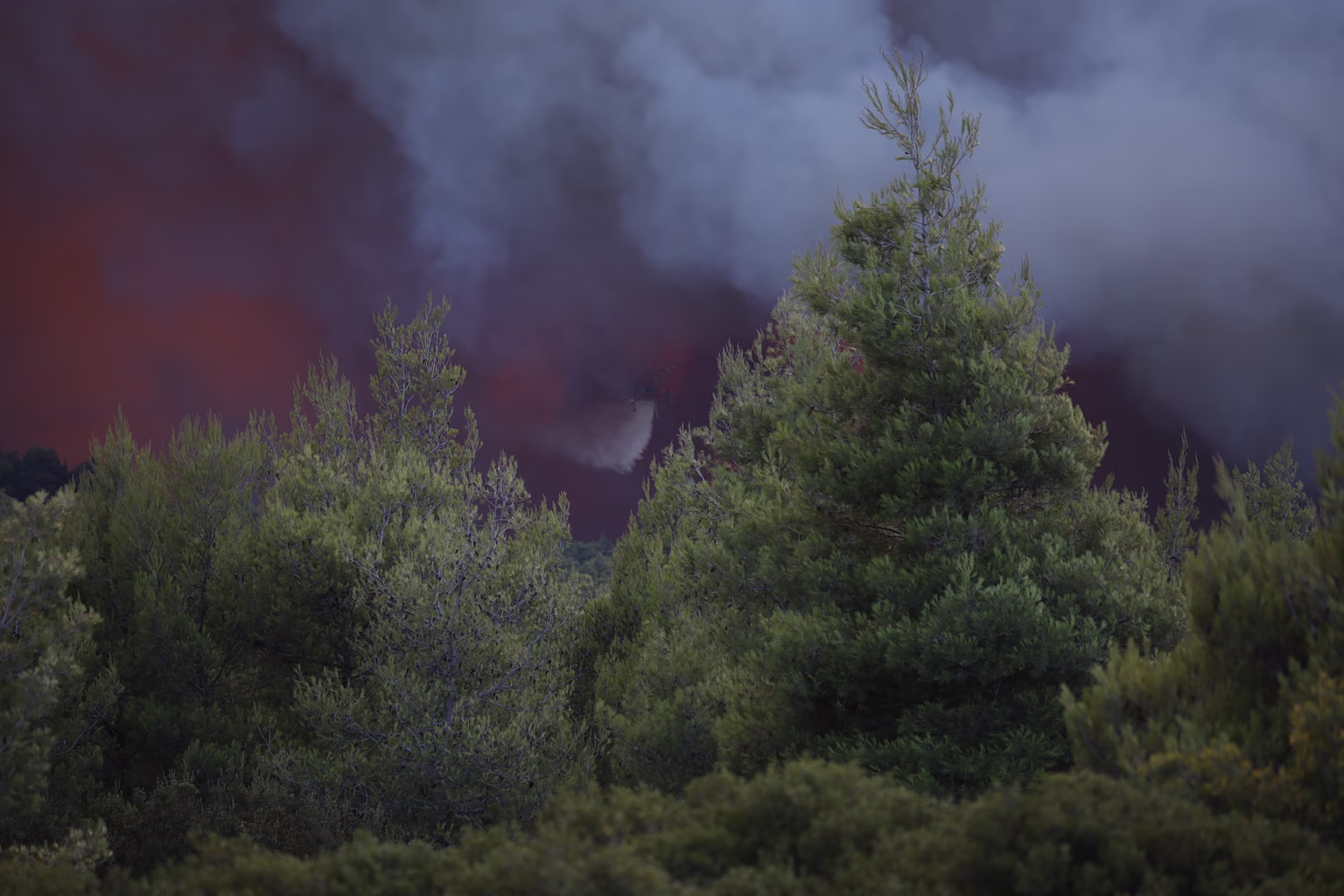 Porto Germeno Wildfire Among Greece's Toughest