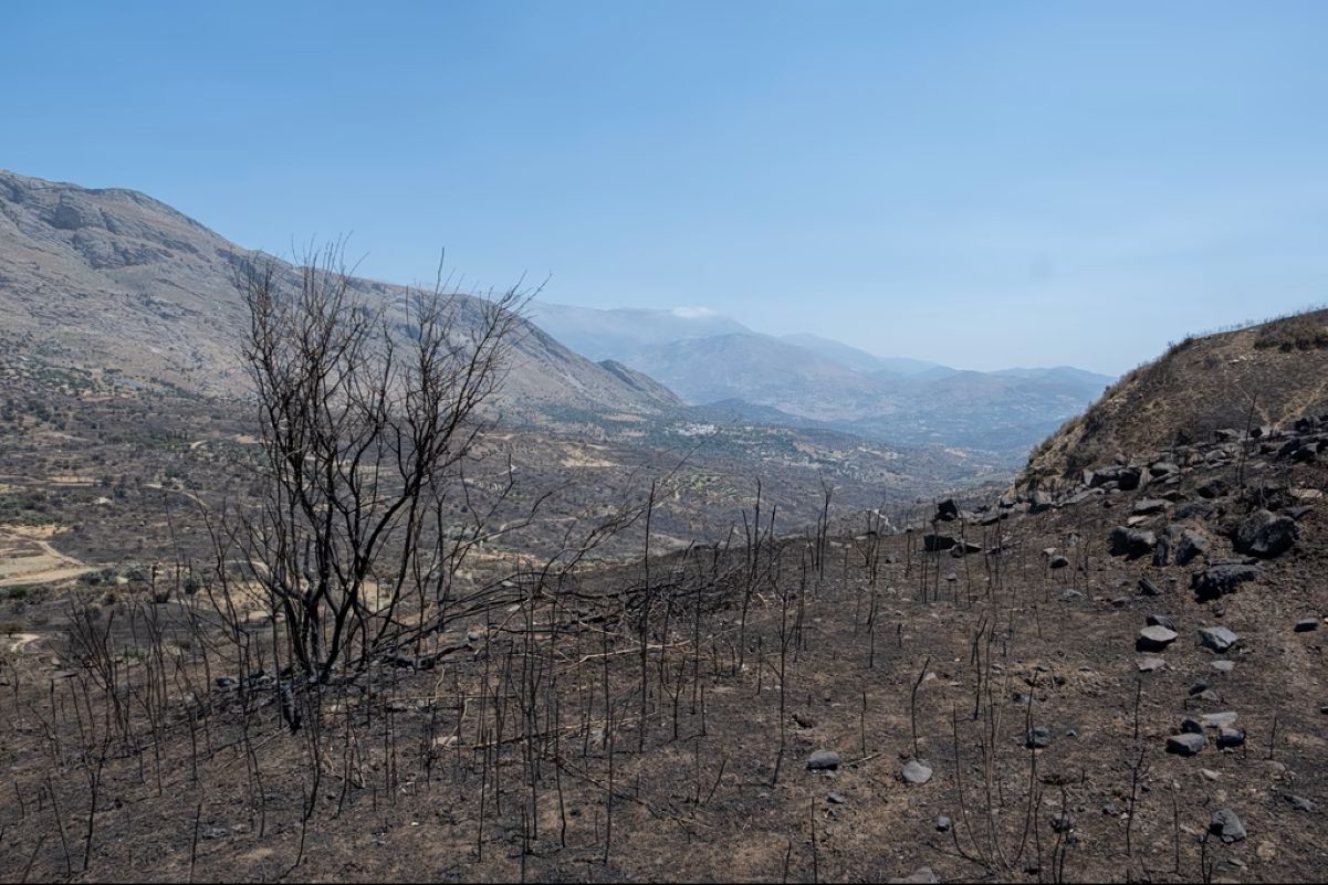 Rethymno wildfires destruction